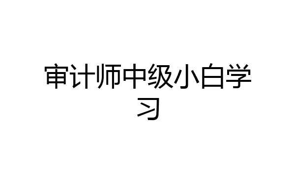 审计师中级小白学习
