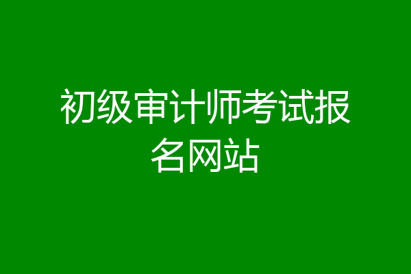 初级审计师考试报名网站