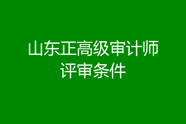 山东正高级审计师评审条件
