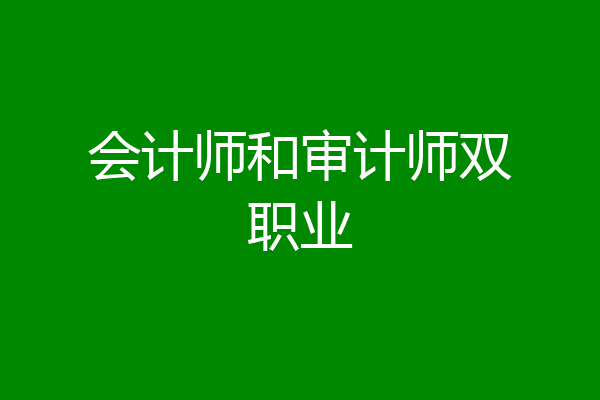 会计师和审计师双职业