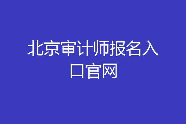 北京审计师报名入口官网