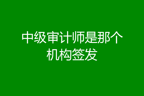 中级审计师是那个机构签发