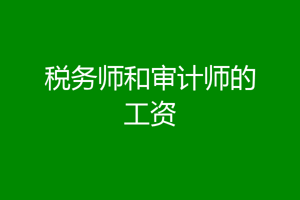 税务师和审计师的工资