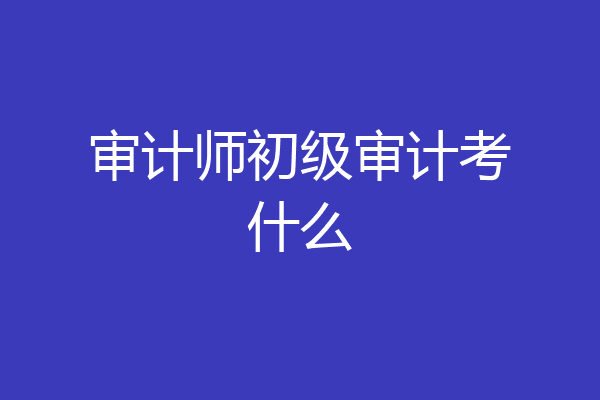 审计师初级审计考什么