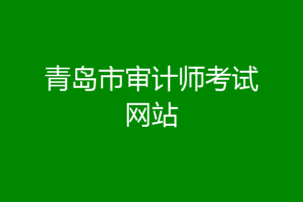 青岛市审计师考试网站