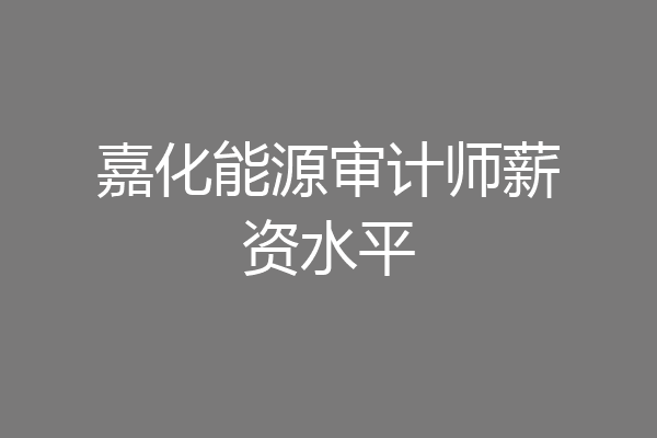 嘉化能源审计师薪资水平