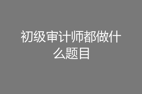 初级审计师都做什么题目