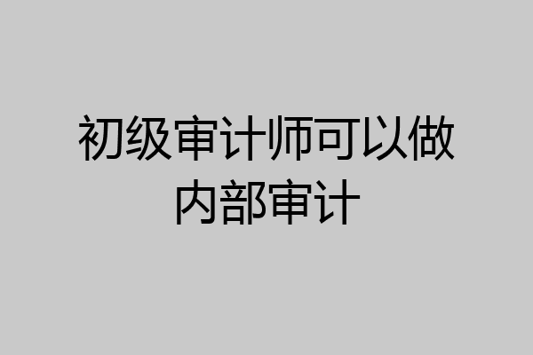 初级审计师可以做内部审计
