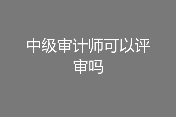中级审计师可以评审吗