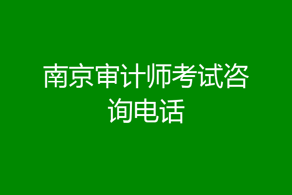 南京审计师考试咨询电话