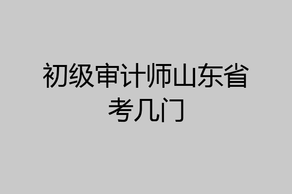 初级审计师山东省考几门