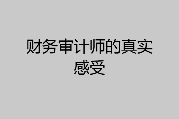 财务审计师的真实感受