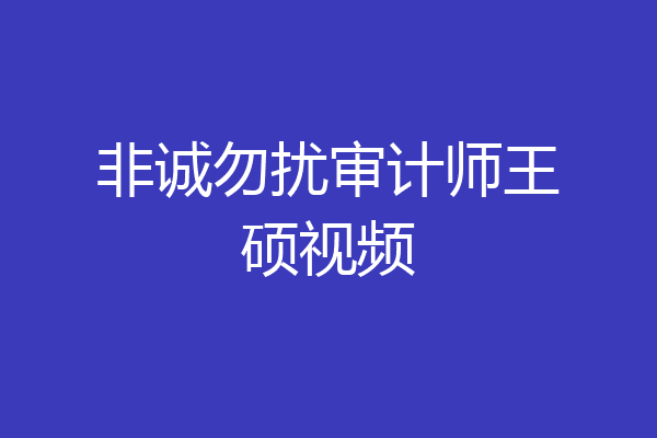 非诚勿扰审计师王硕视频