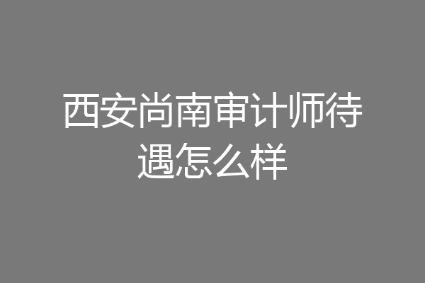 西安尚南审计师待遇怎么样