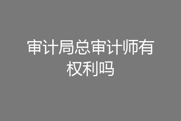 审计局总审计师有权利吗
