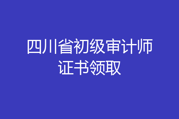 四川省初级审计师证书领取