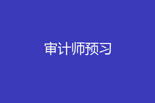 审计师预习