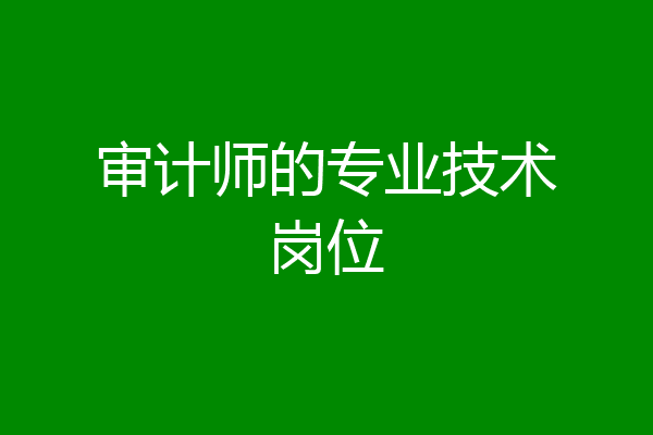 审计师的专业技术岗位