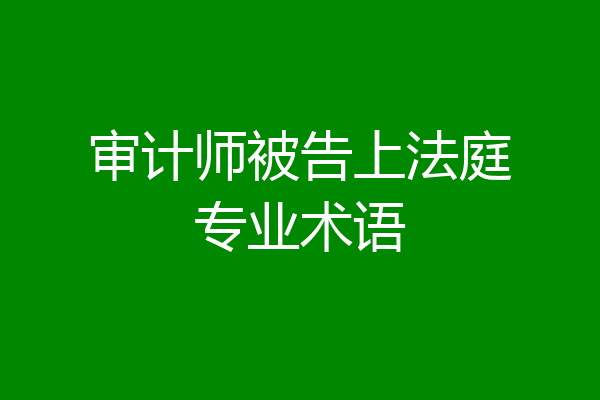 审计师被告上法庭专业术语