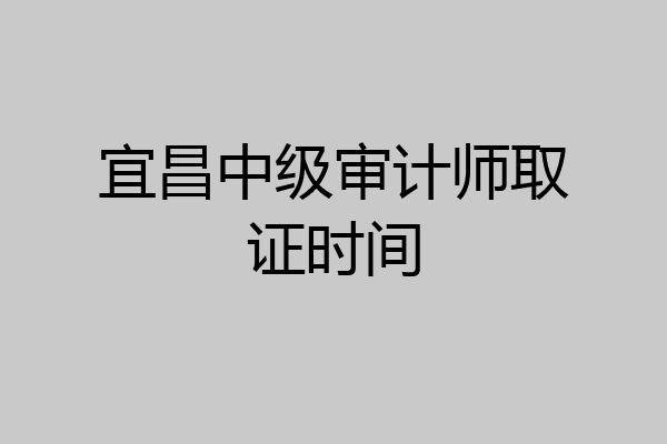 宜昌中级审计师取证时间