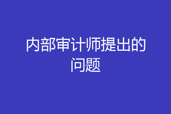 内部审计师提出的问题