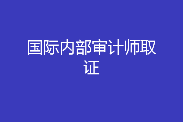 国际内部审计师取证