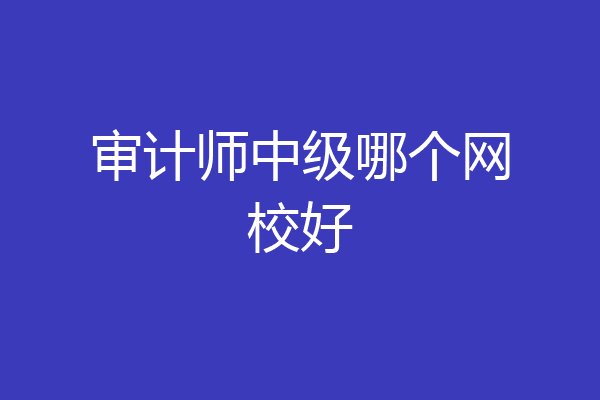 审计师中级哪个网校好