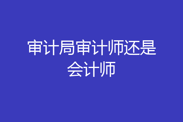 审计局审计师还是会计师