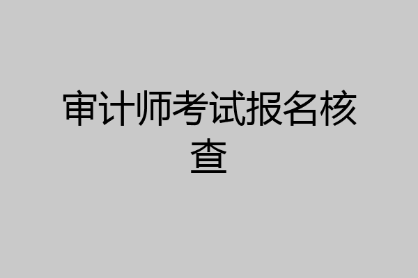 审计师考试报名核查
