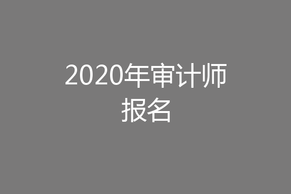 2020年审计师报名