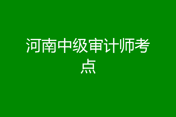 河南中级审计师考点