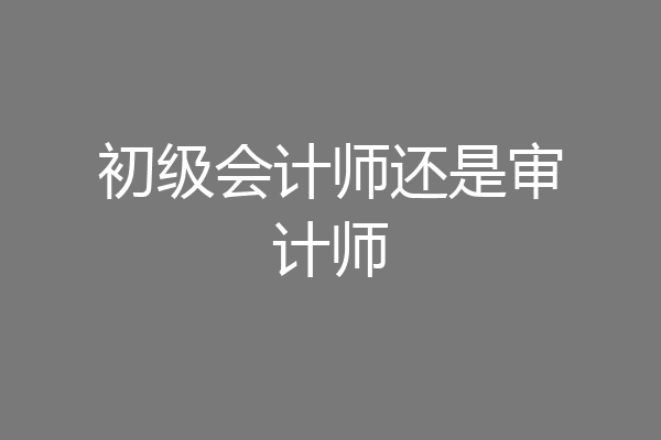 初级会计师还是审计师