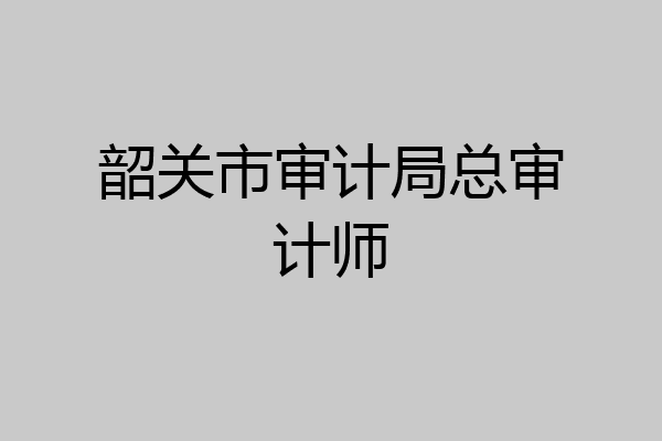 韶关市审计局总审计师