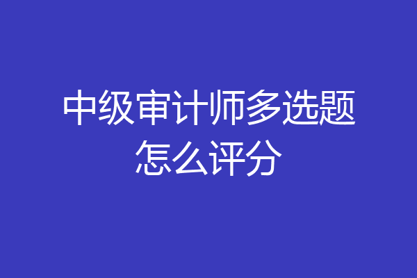 中级审计师多选题怎么评分