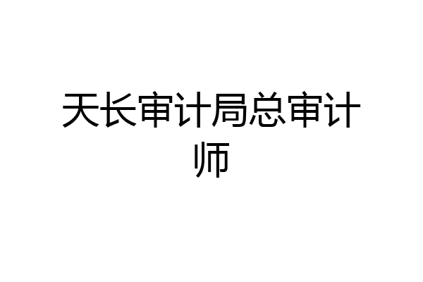 天长审计局总审计师
