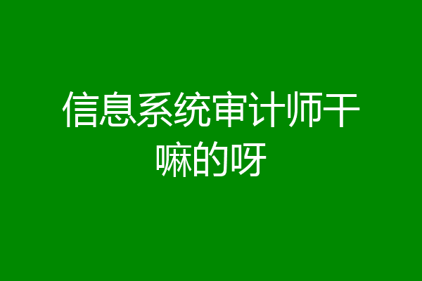 信息系统审计师干嘛的呀