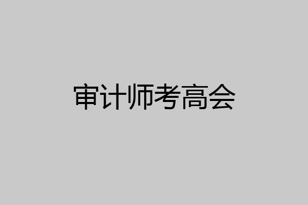 审计师考高会