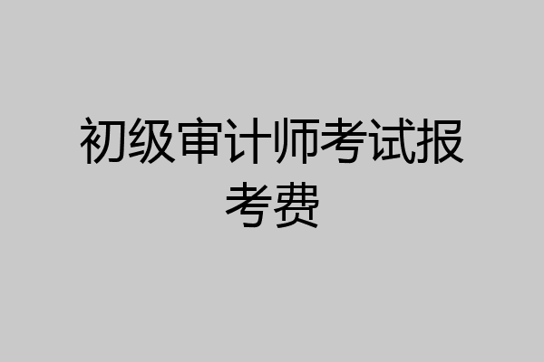 初级审计师考试报考费