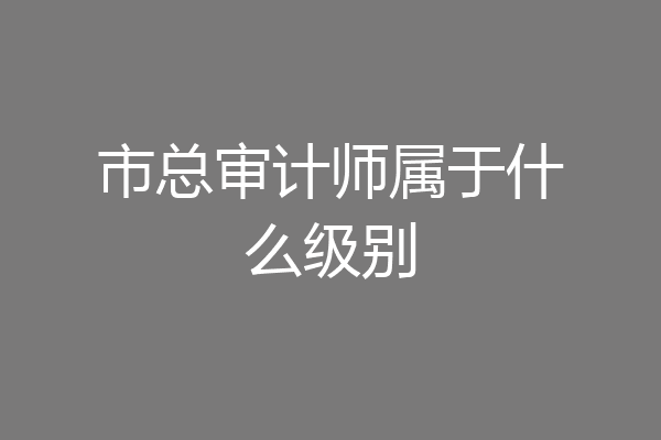 市总审计师属于什么级别