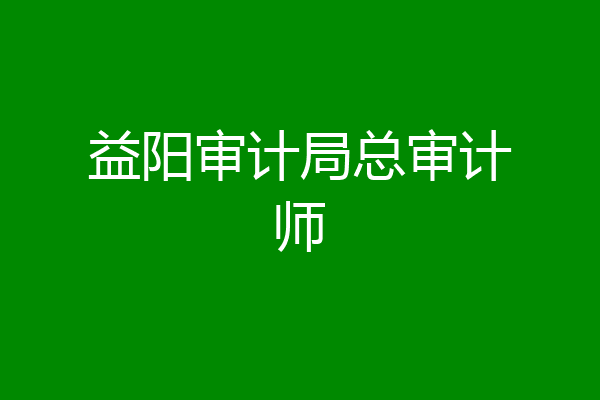 益阳审计局总审计师