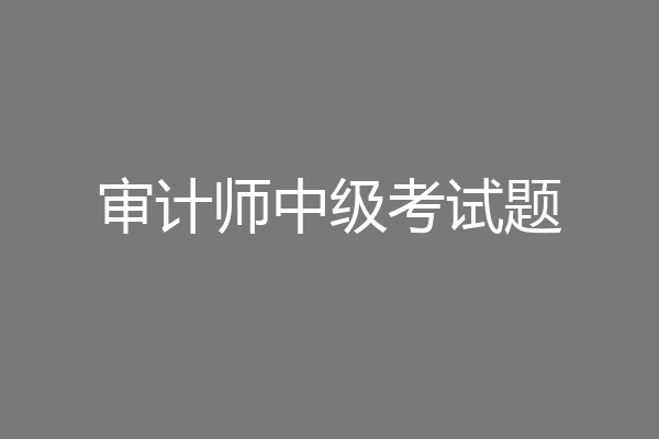 审计师中级考试题