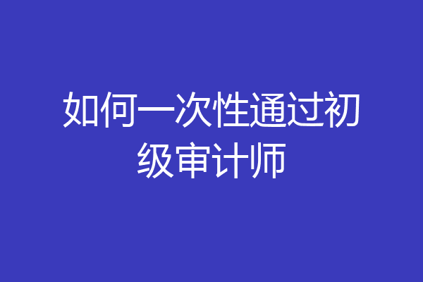 如何一次性通过初级审计师