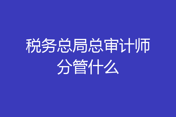 税务总局总审计师分管什么
