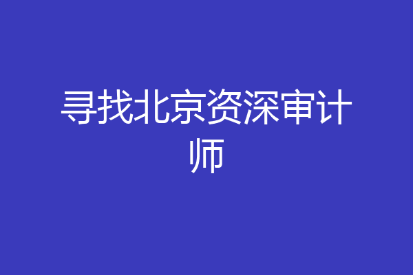 寻找北京资深审计师