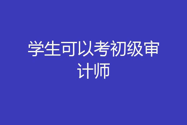 学生可以考初级审计师