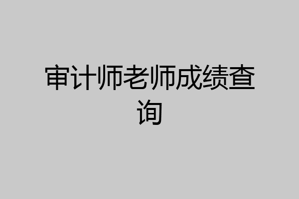 审计师老师成绩查询