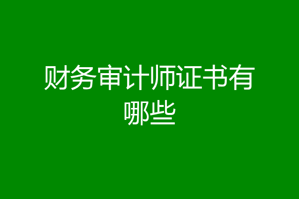 财务审计师证书有哪些