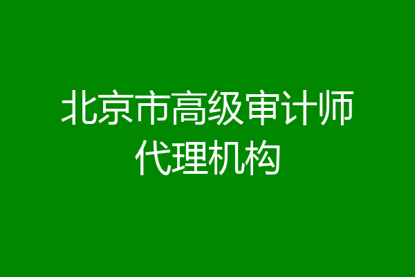 北京市高级审计师代理机构