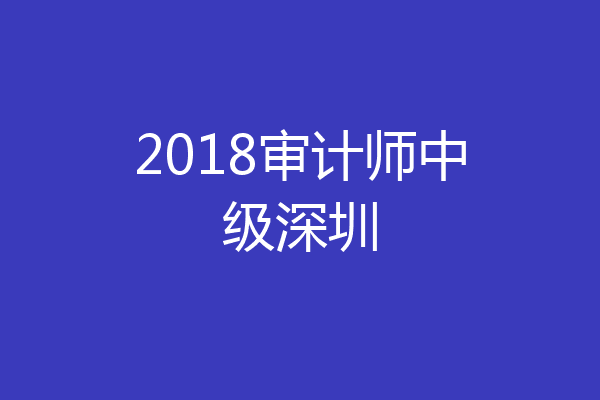 2018审计师中级深圳