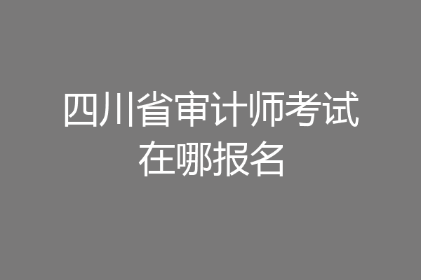 四川省审计师考试在哪报名